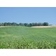Properties for Sale_COUNTRY HOUSE TO RESTORE FOR SALE IN MARCHE Farmhouse with land in Italy in Le Marche_11